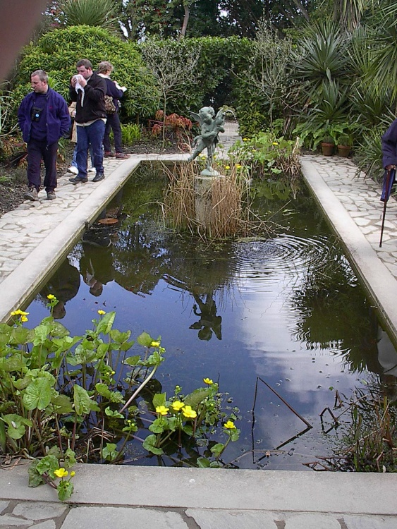 Heligan Garden pond, Mevagissey, Cornwall