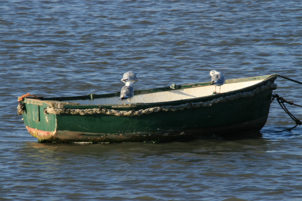Boats for all, Burnham-on-Crouch, Essex