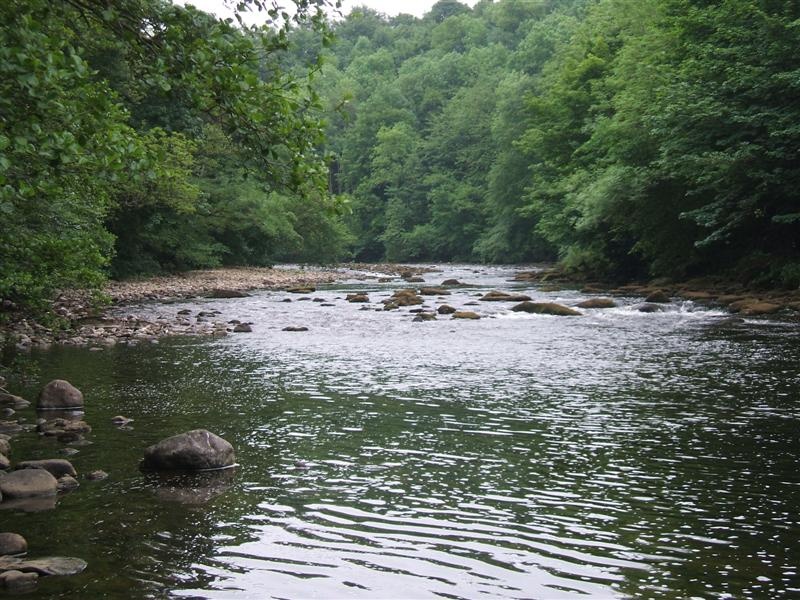 Photograph of River Ure, Magdalen Wood, Grewelthorpe, North Yorkshire