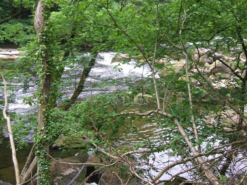 Photograph of River Ure, Magdalen Wood, Grewelthorpe, North Yorkshire