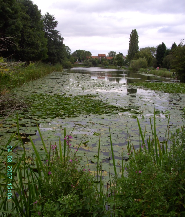 Delves Lakes, Thorne, South Yorkshire