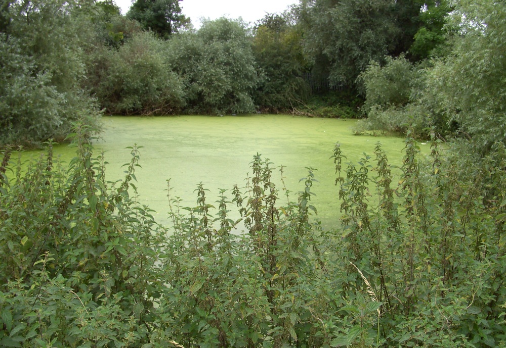 Delves Lakes, Thorne, South Yorkshire