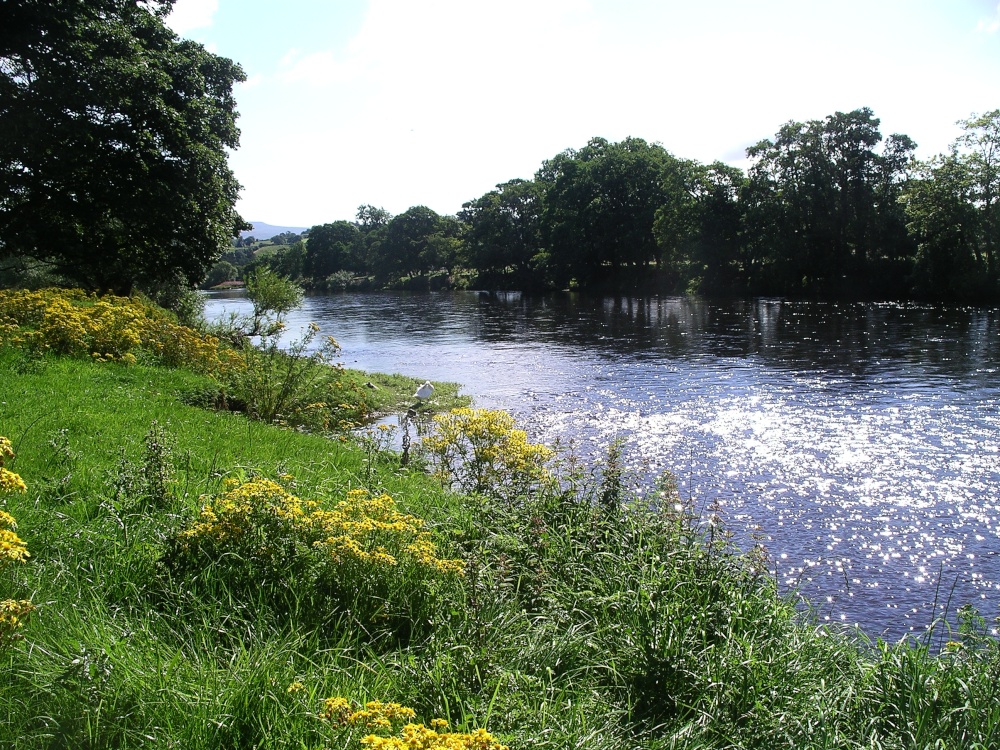 River Eden, Lazonby, Cumbria