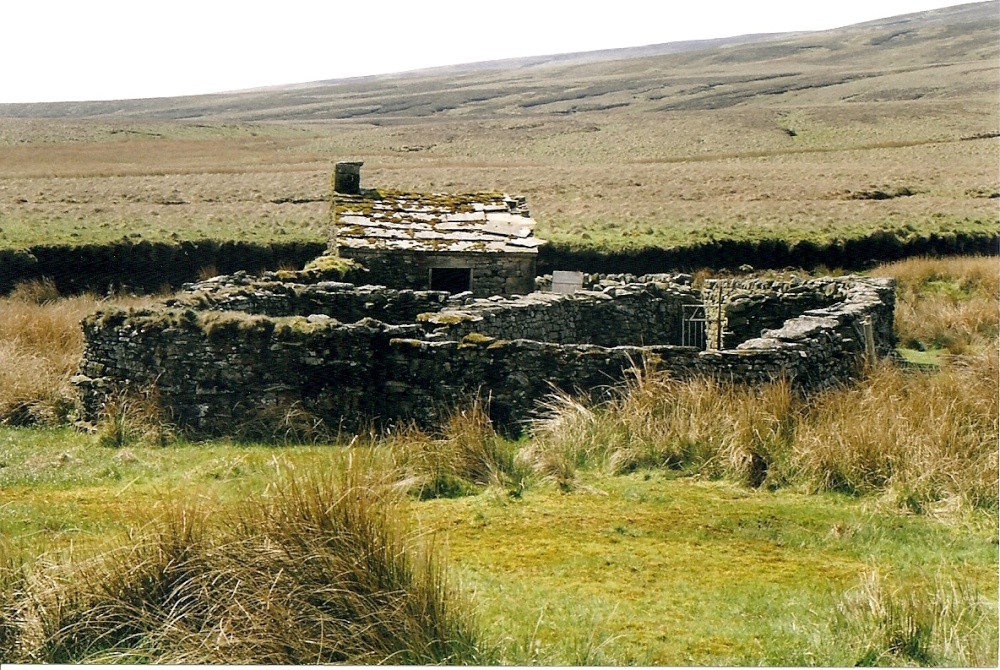 Isolated Sheep Pen Near Birkdale Beck photo by John C. Ralph - Canada