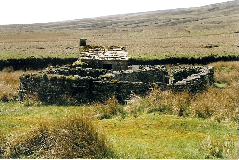 Isolated Sheep Pen Near Birkdale Beck