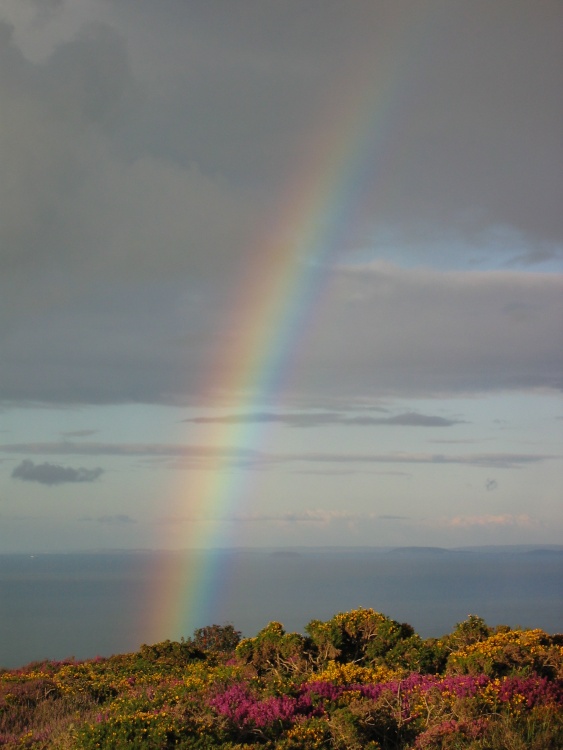 Exmoor rainbow