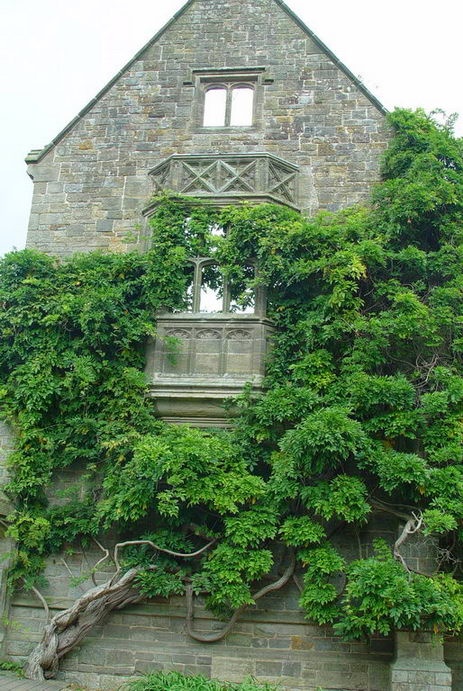 Escape for a day out at Nymans Garden, Handcross, West Sussex