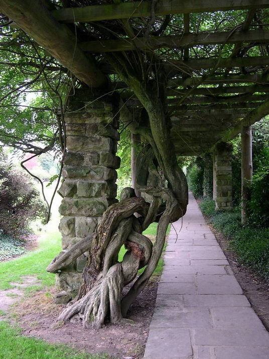 Escape for a day out at Nymans Garden in Handcross, West Sussex