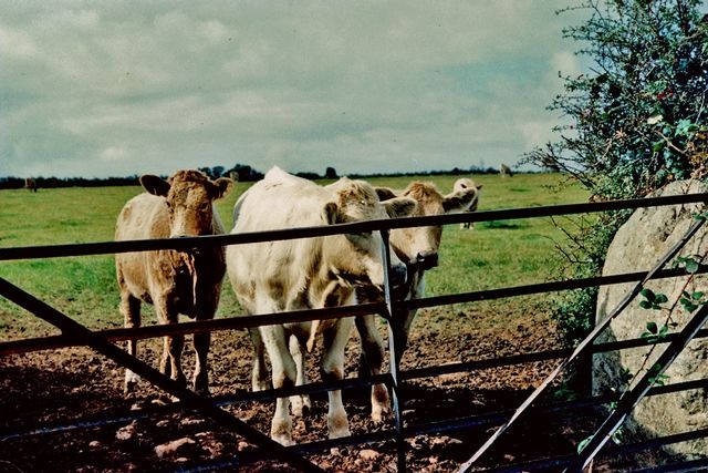 Pictures of West Penwith