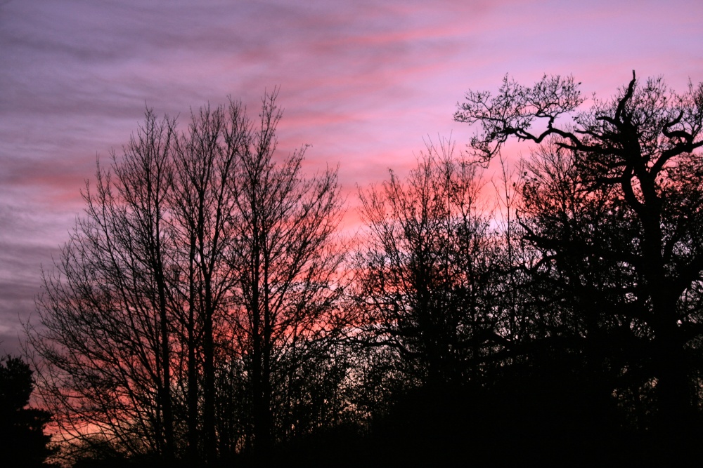 Photograph of Haddiscoe Sunset, Norfolk