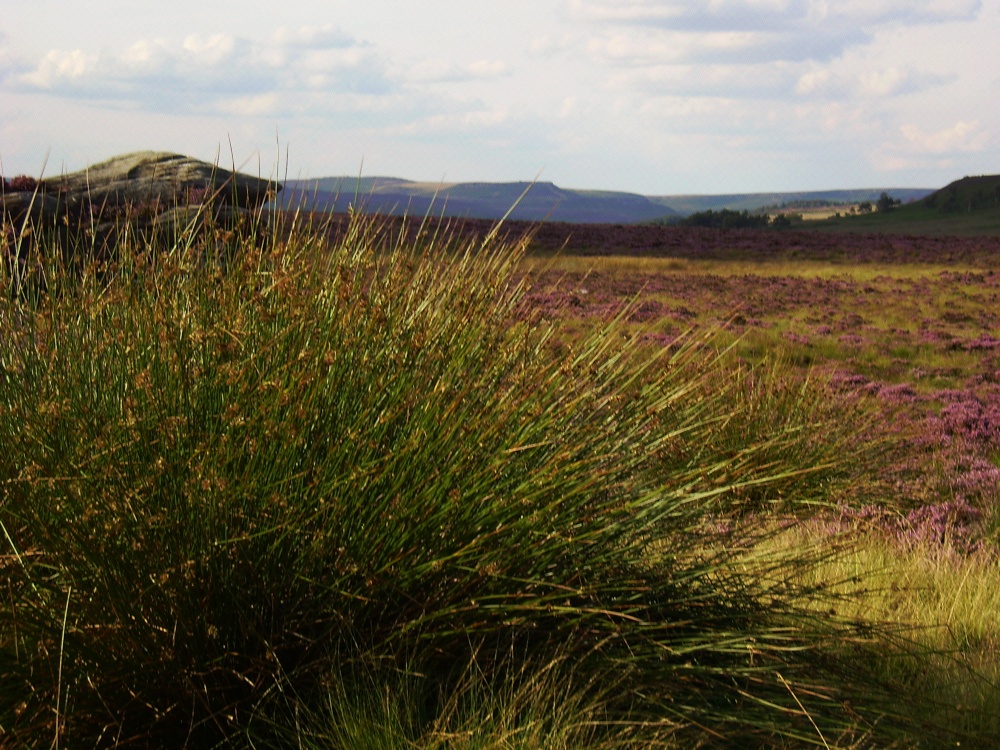 Looking over the moor from Curbar Edge, Derbyshire