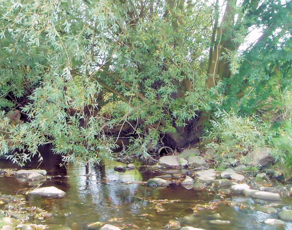 Photograph of The Brook off Lings Lane, Keyworth, Nottinghamshire
