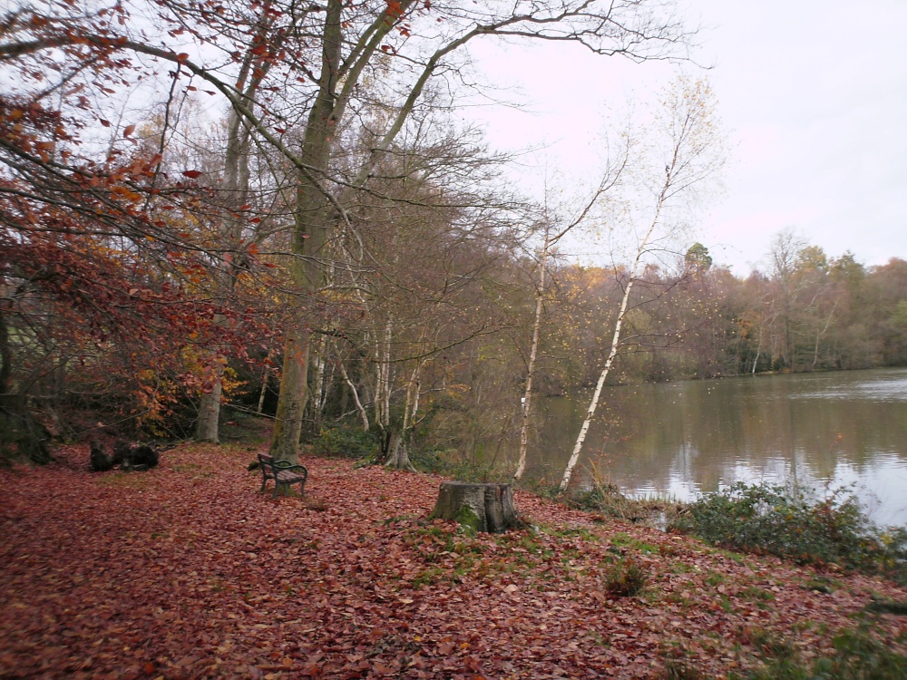 Autumn at Slaugham in West Sussex