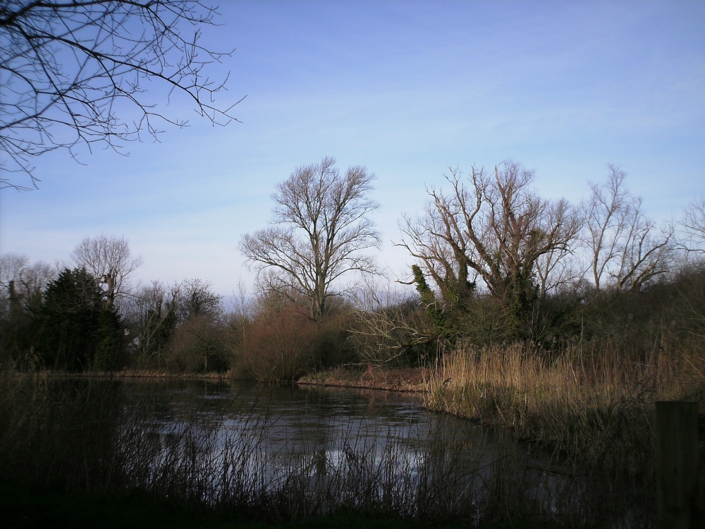 Mill Lake at Woods Mill Nature Reserve