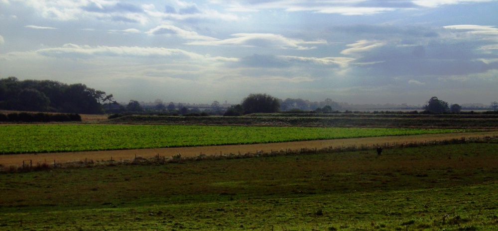 Photograph of Views from Saxby in Lincolnshire