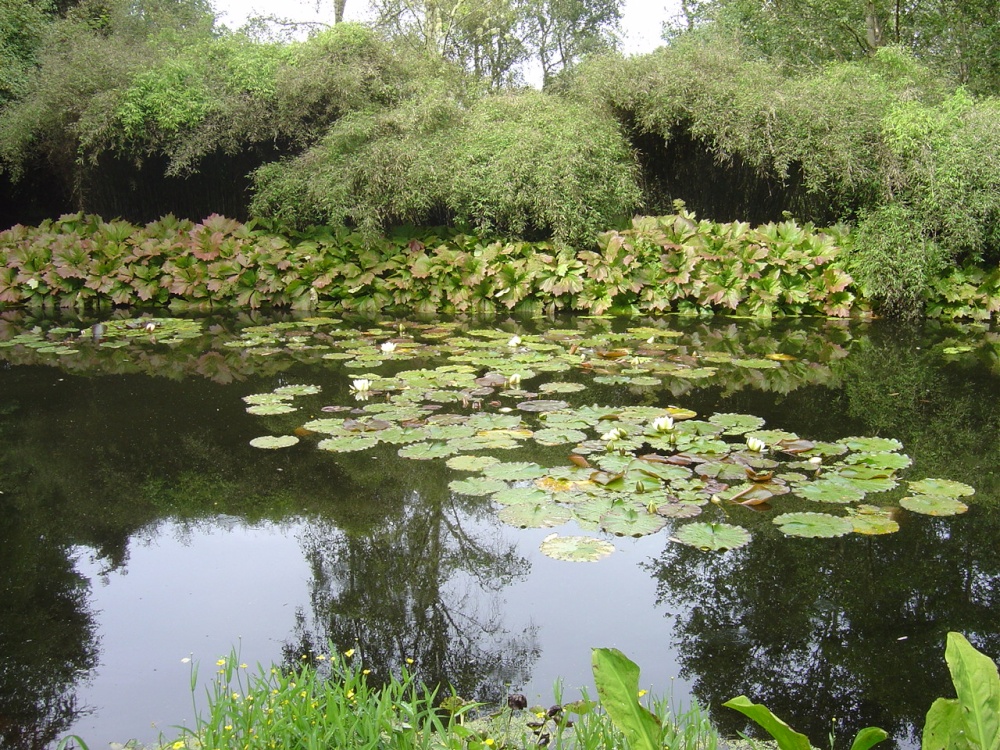Inverewe Gardens, Highland, Scotland