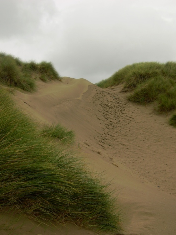Footsteps in the Dunes