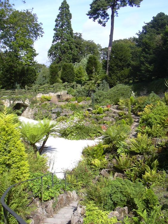 The Fern Dell, Brodsworth Hall in South Yorkshire