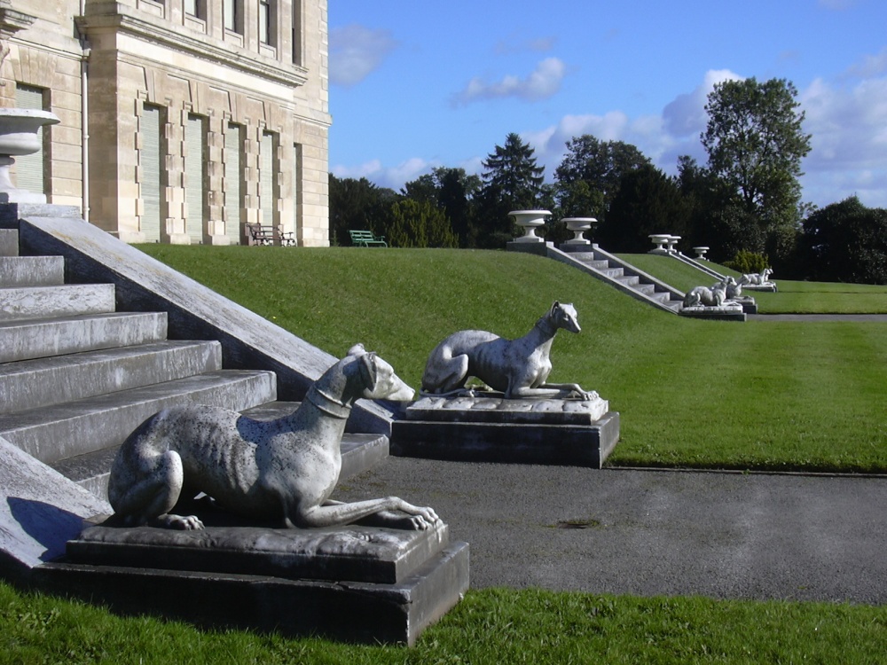 Greyhounds, Brodsworth Hall, South Yorkshire