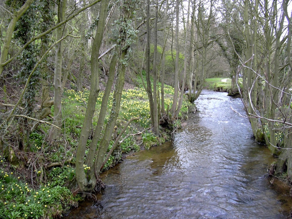 Photograph of Farndale, Kirkbymoorside in North Yorkshire