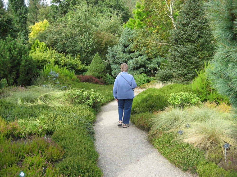 Winter Garden at RHS Garden Rosemoor, Great Torrington, Devon