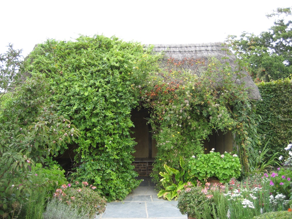 RHS Garden Rosemoor, Great Torrington, Devon