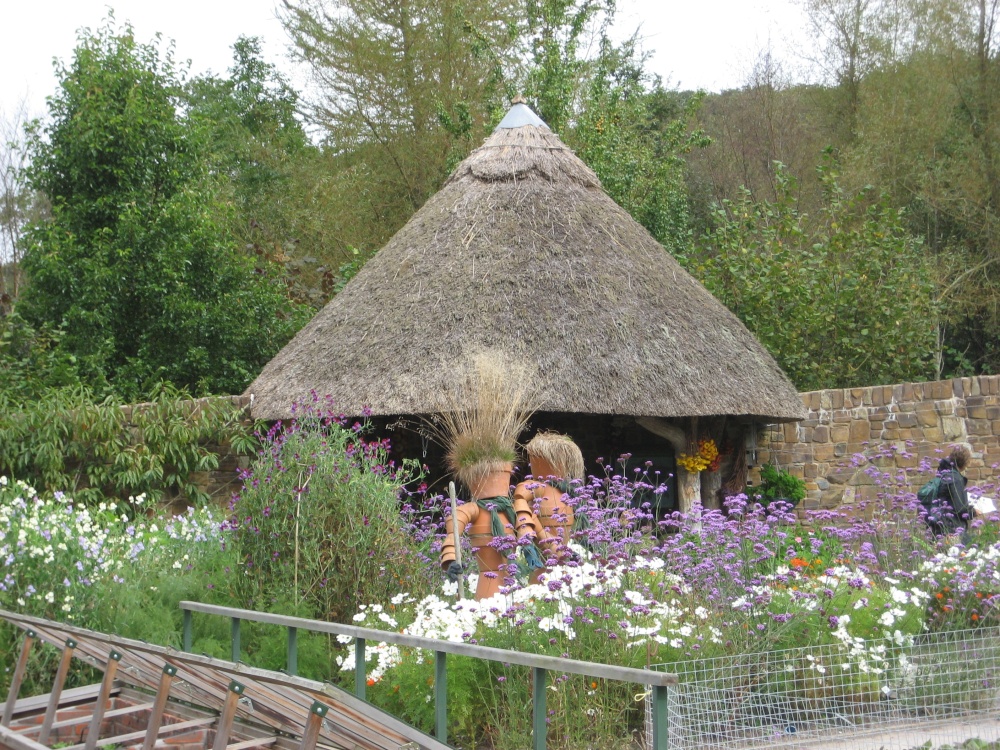 What characters! RHS Garden Rosemoor, Great Torrington, Devon photo by William Bedell