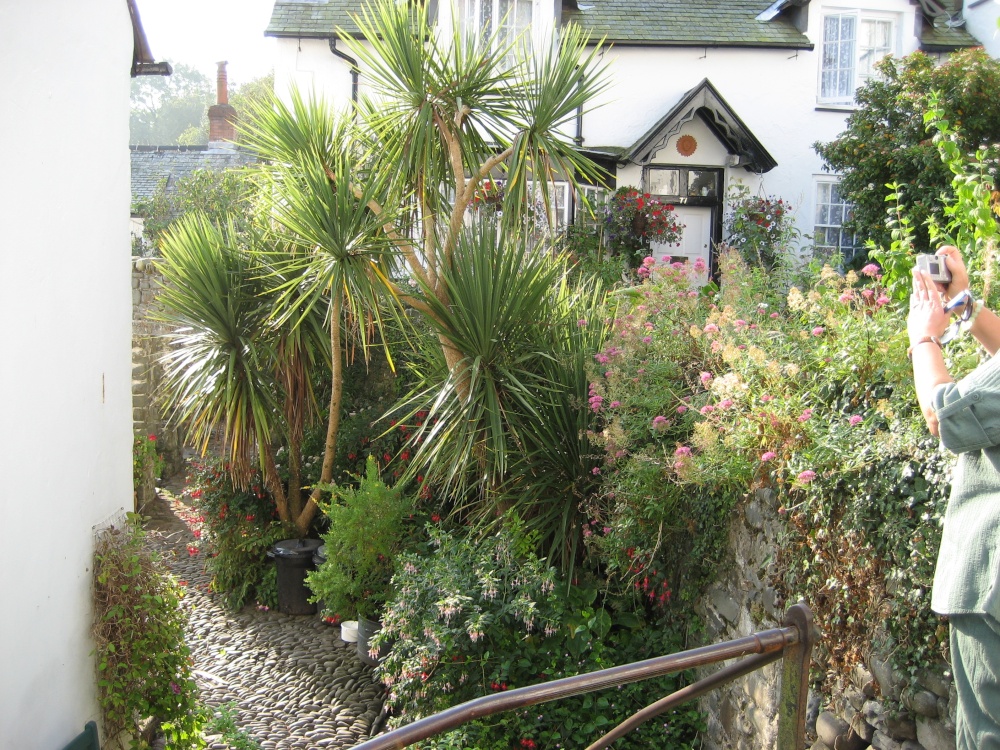 Cottage and garden in Clovelly, Devon