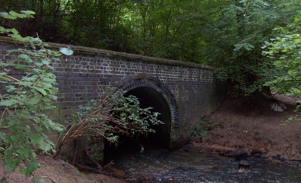 Walk in the Woods, North Anston, South Yorkshire