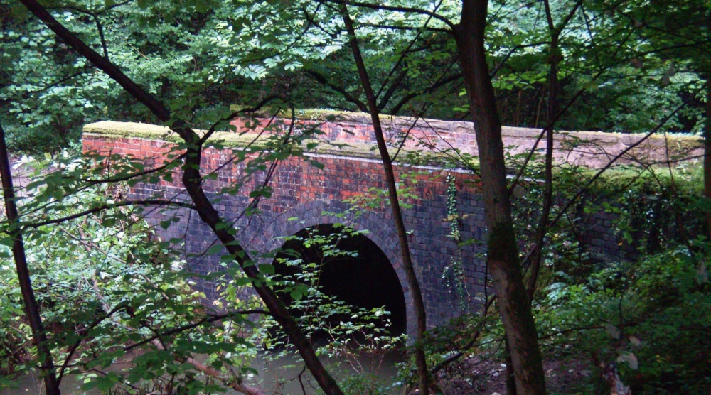 Woods, North Anston, South Yorkshire