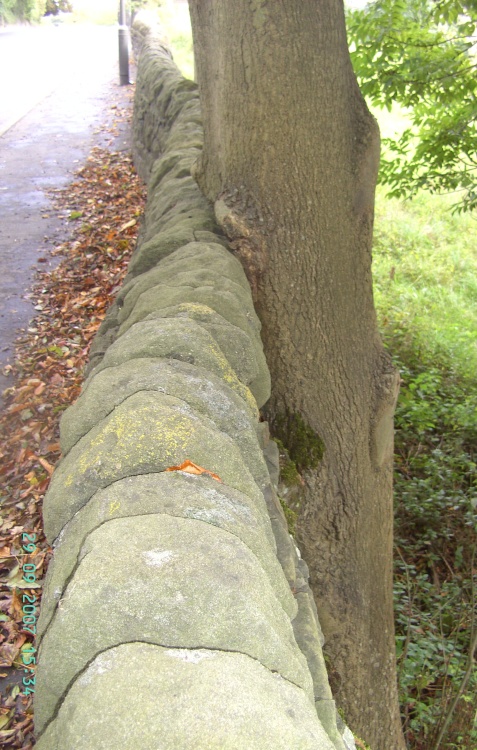 Village of  Baslow in Derbyshire