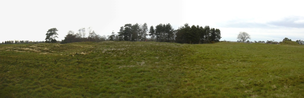 Panorama of the burial mounds, Sutton Hoo, Woodbridge, Suffolk photo by Steve Willimott