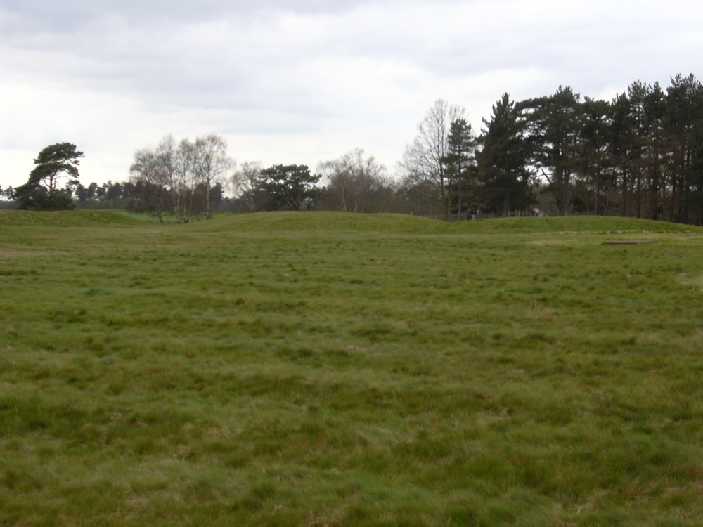 Burial mounds, Sutton Hoo, Woodbridge, Suffolk photo by Steve Willimott