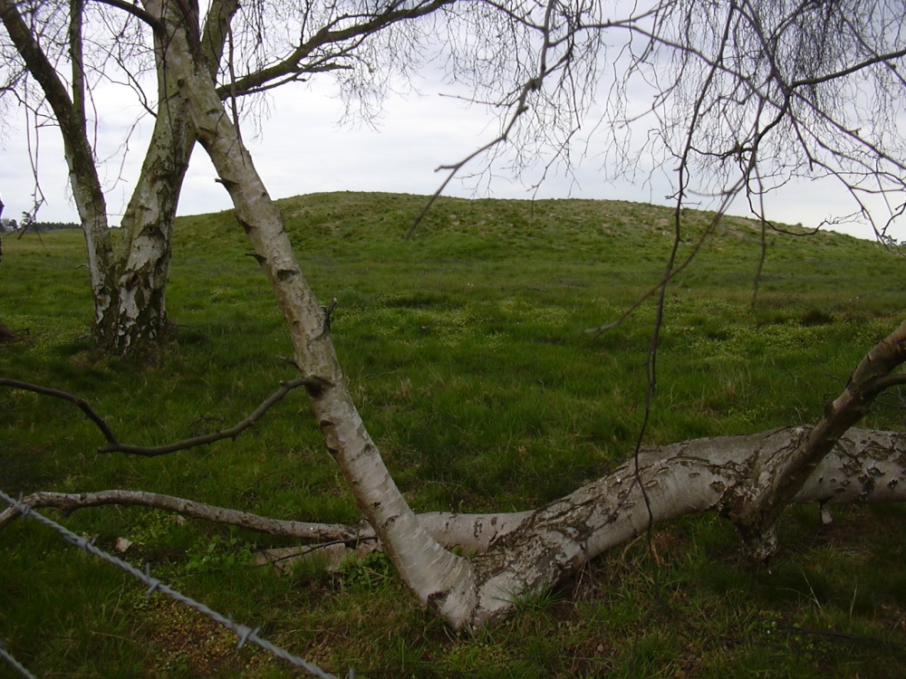 Burial mounds, Sutton Hoo, Woodbridge, Suffolk