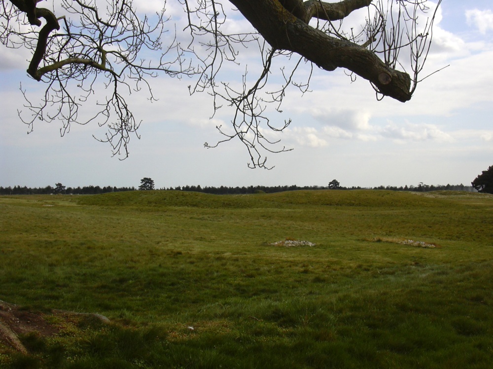 Burial mounds, Sutton Hoo, Woodbridge, Suffolk photo by Steve Willimott