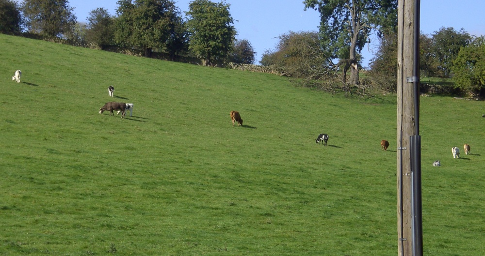 Photograph of In the village of Calver, Derbyshire