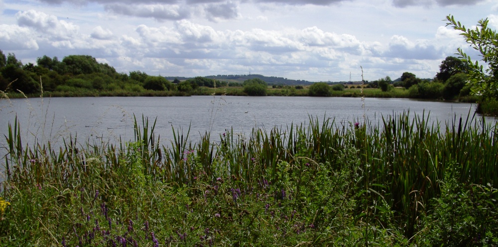 Carr Vale Nature Reserve, Derbyshire photo by Barbara Whiteman