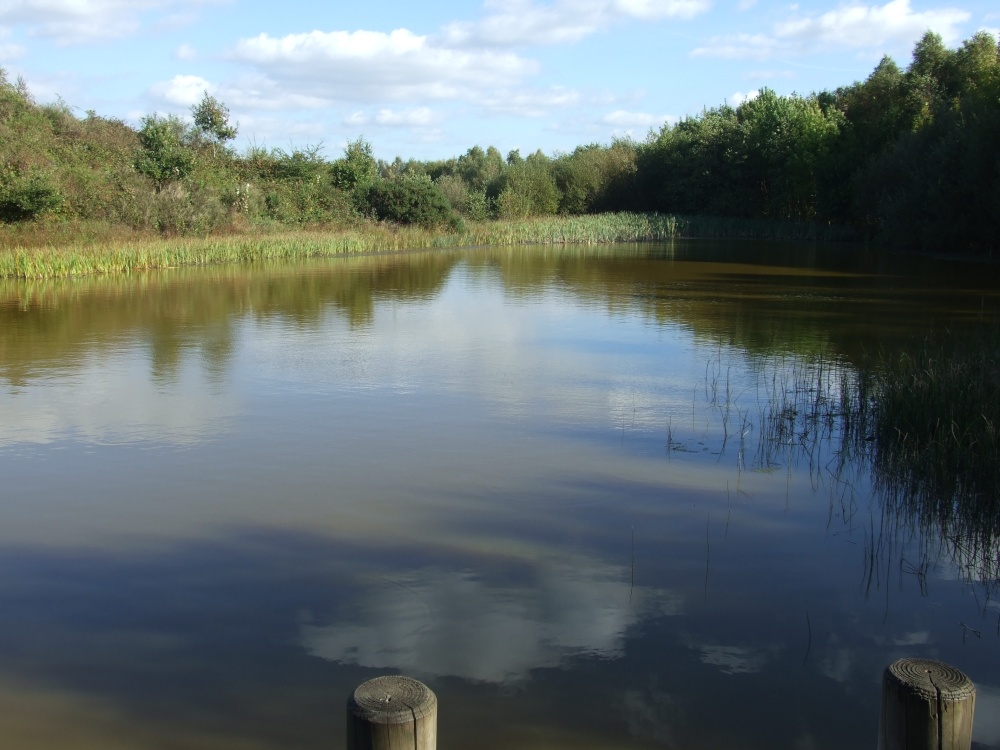 New Lount Nature Reserve, Lount, Leicestershire photo by Jez Taylor