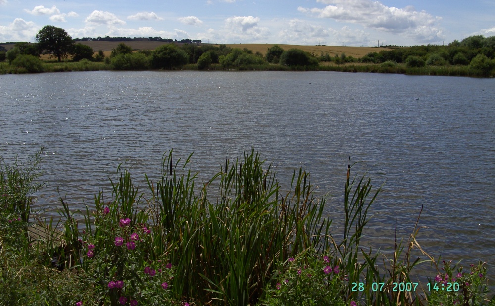 Carr Vale Nature Reserve, Derbyshire photo by Barbara Whiteman