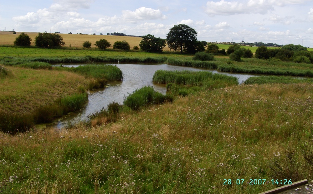 Carr Vale Nature Reserve, Derbyshire photo by Barbara Whiteman