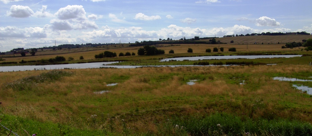Carr Vale Nature Reserve, Derbyshire photo by Barbara Whiteman