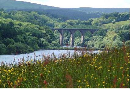 Wayoh Reservoir - Edgworth, Lancashire