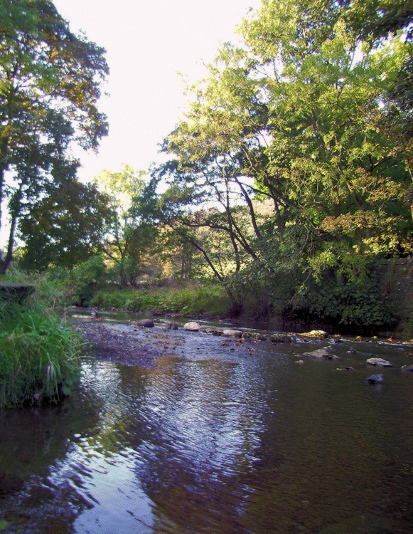 The river running through to bridge at Wetton Mill