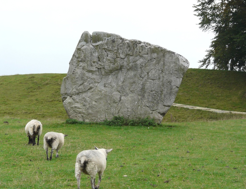 A Stone at Avebury, and ever present sheep.