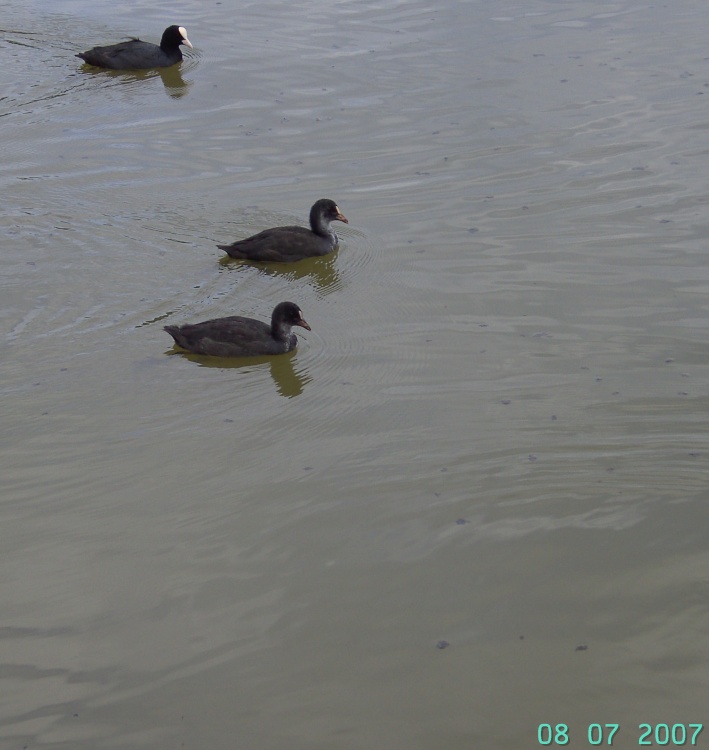 Hardwick Estate, Doe Lea, Derbyshire