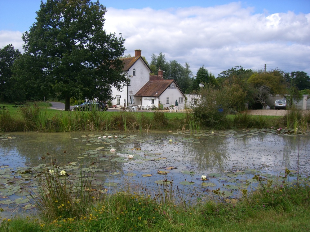 Photograph of Semley Village Pond, Wiltshire