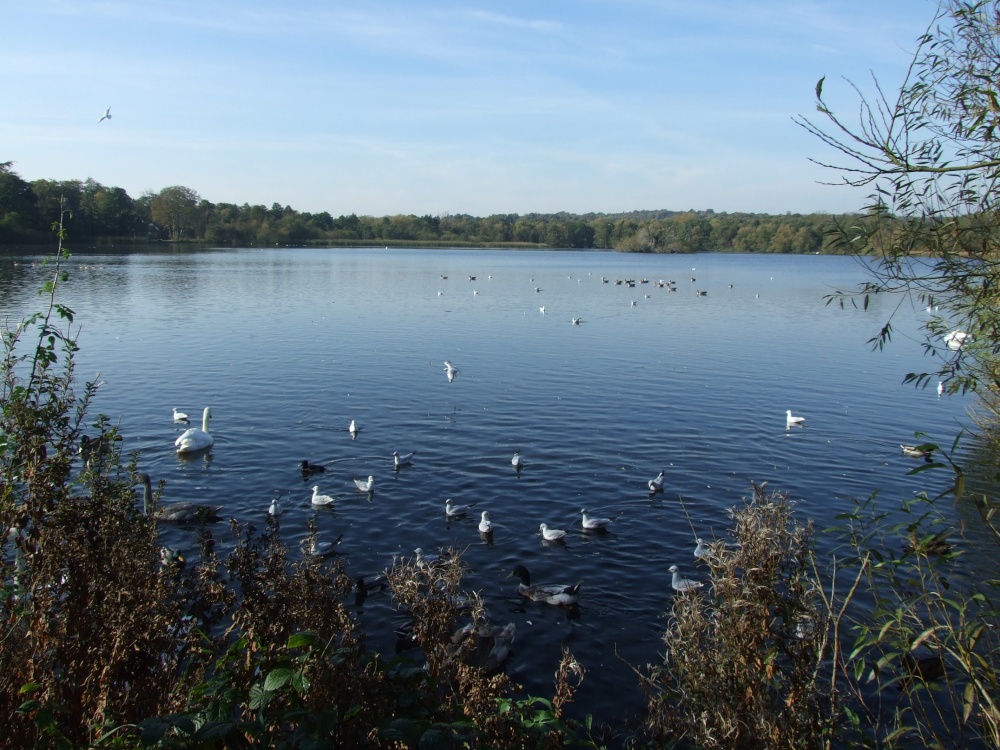 Groby Pool, Groby, Leicestershire