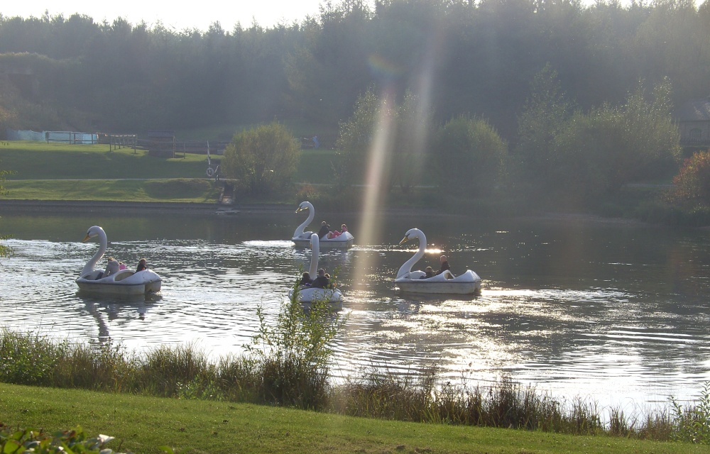 Swan Lake Pedal Boats, Lightwater Valley Park, Ripon, North Yorkshire