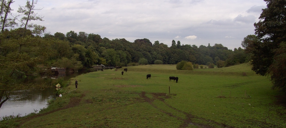 River and Canal, Sprotbrough, South Yorkshire