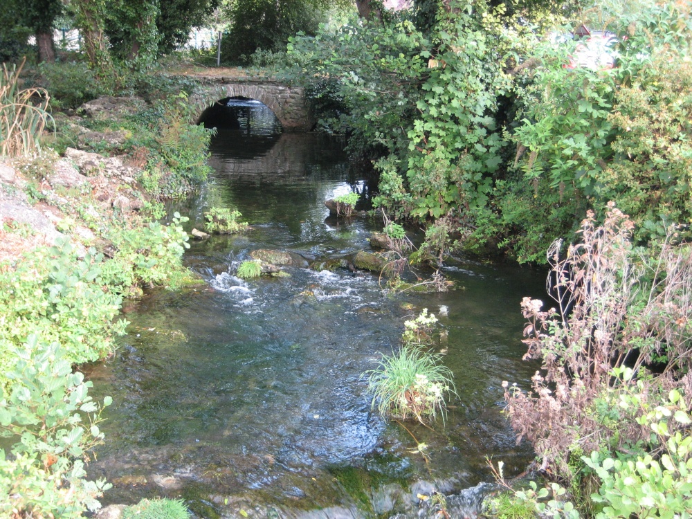 Small river running through Cheddar, Somerset